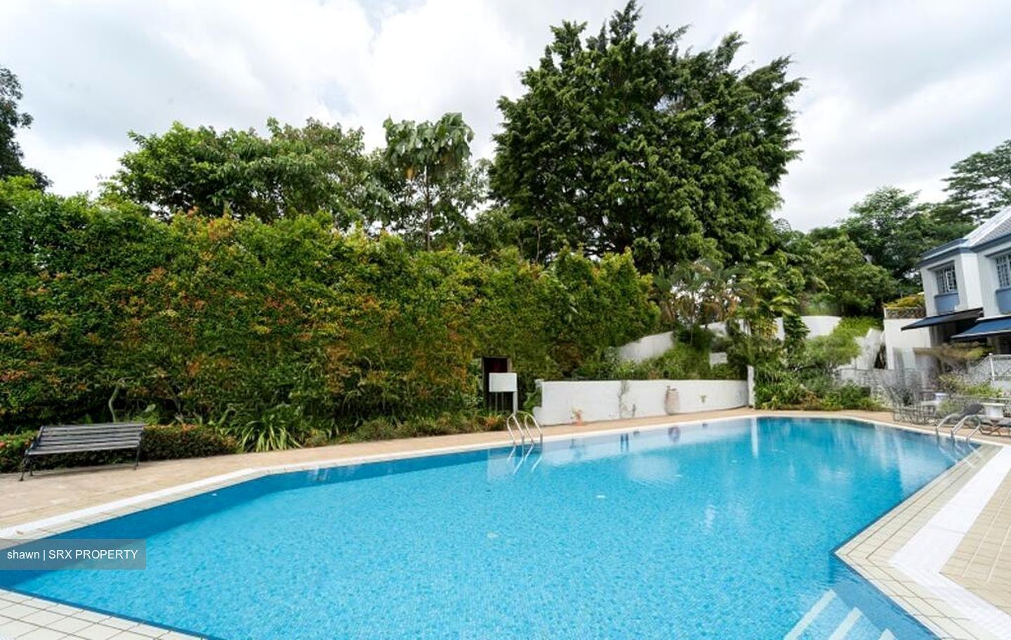 Chancery Grove (D11), Terrace #503431561